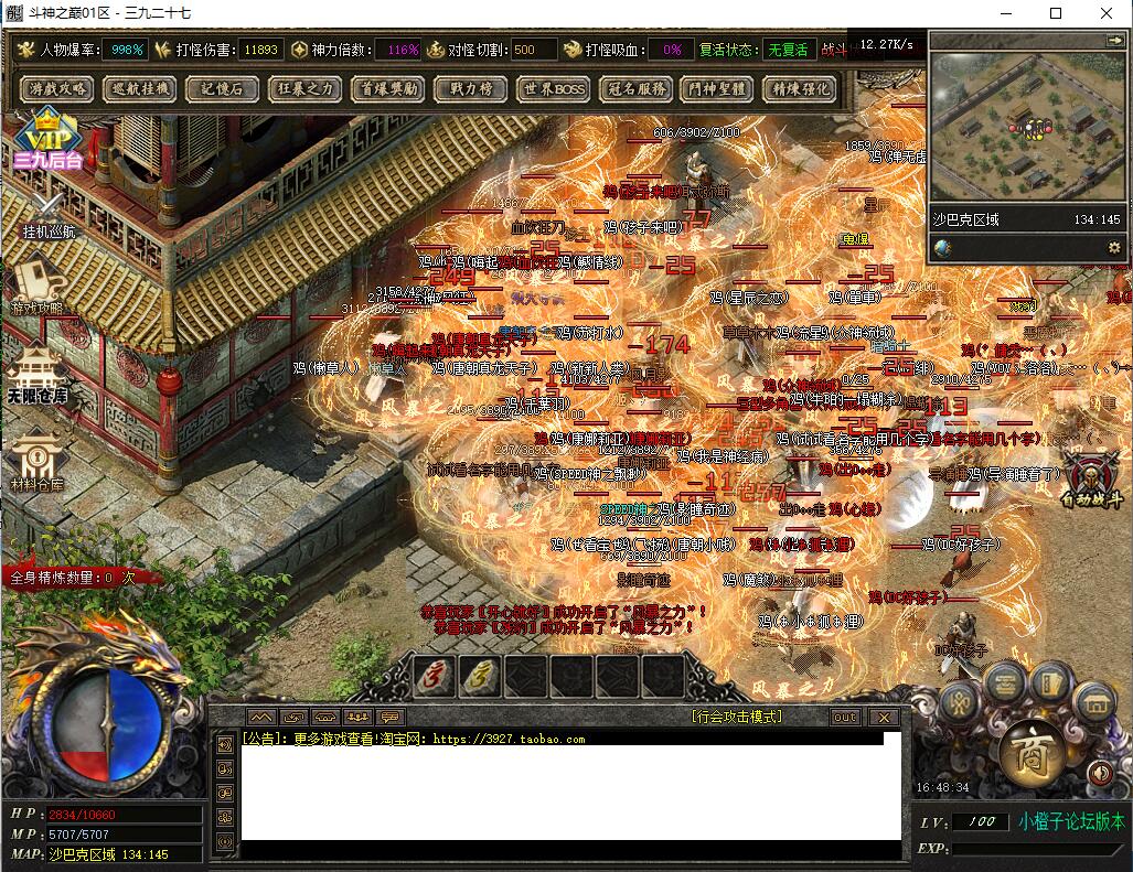 11.jpg